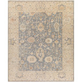 Daucourt Wool Oriental Area Rug