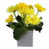 Yellow is out of stock