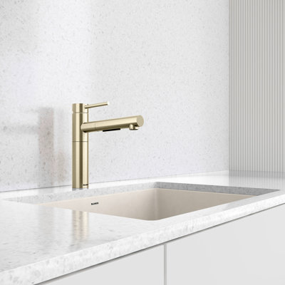 Alta II Low Arc Pull-Out Dual-Spray Kitchen Faucet - Satin Gold