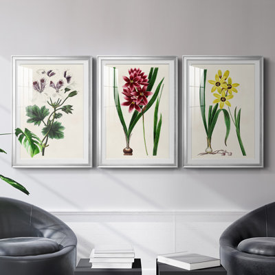 " Antique Floral Folio IX " 3 - Pieces