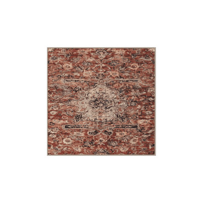 Machine Washable Brown Area Rug