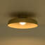 1-Light Dome LED Semi Flush Mount