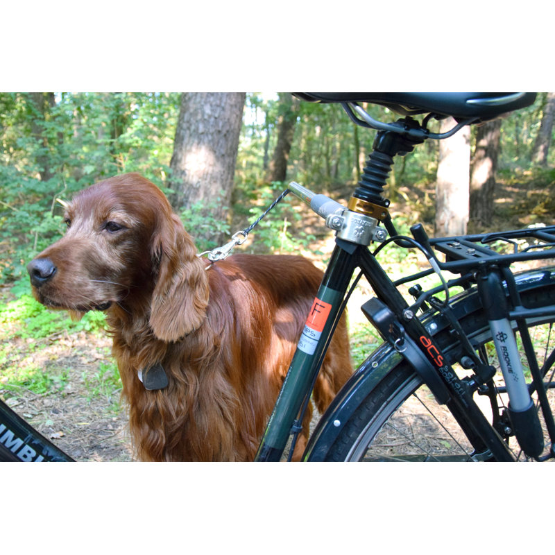 Cousins Dog Bicycle Leash