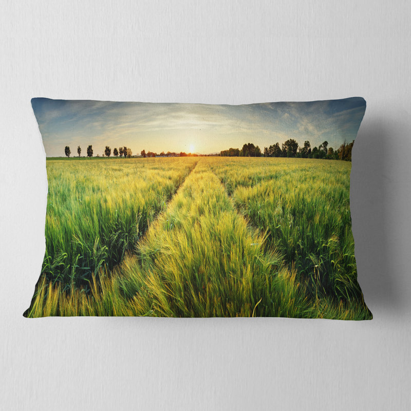 Coussin Schafer