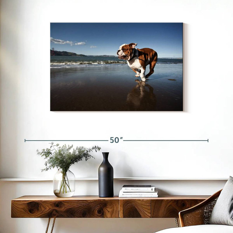 Brampt Dog Beach Run, 24" H x 36" W