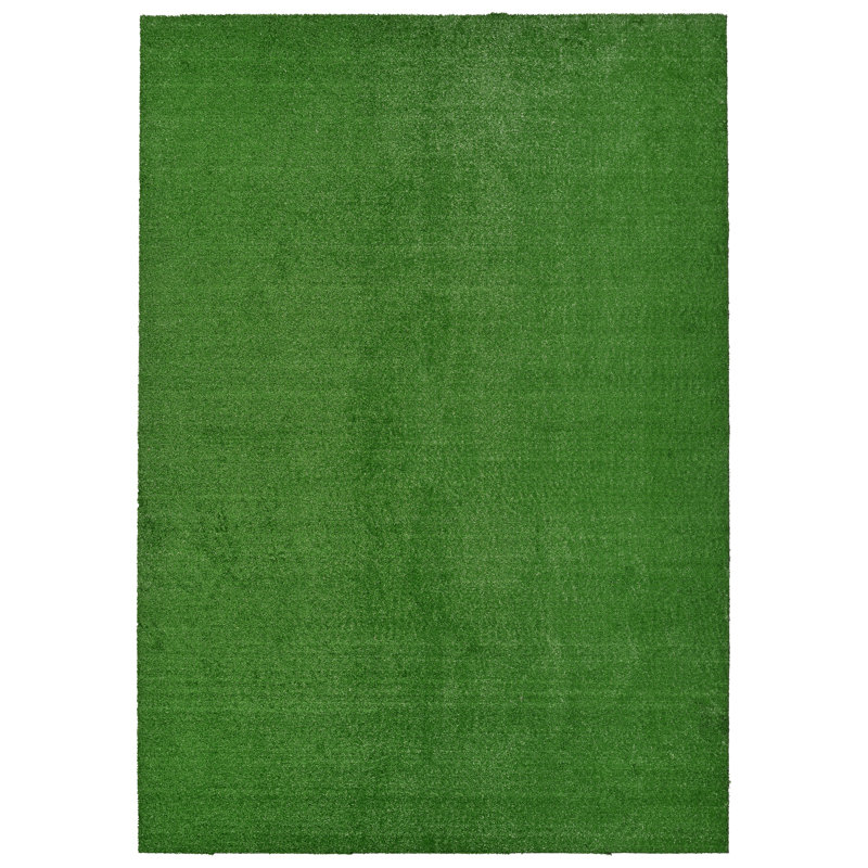 Ashkhen Indoor / Outdoor Rug, Rectangle 7' x 10'