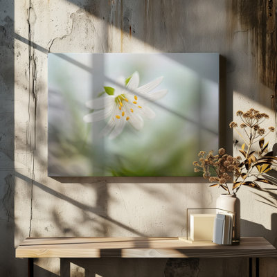 Wrapped Canvas Print