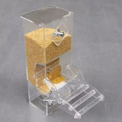 Oiseau de nourriture pour oiseaux