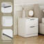 Tasheeka 2 Drawer Bedside Chest Modern Bedroom Nightstand Set Of 2-1492393613