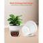 6 pots à fleurs en plastique durables avec trous de drainage et soucoupes 6 po