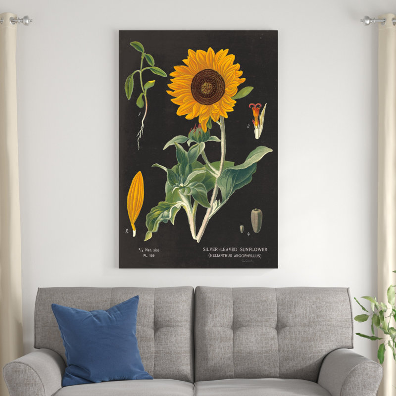 Tableau de tournesol, H 48 po x l 32 po x P 1,25 po