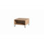 Aneesh Coffee Table with Storage