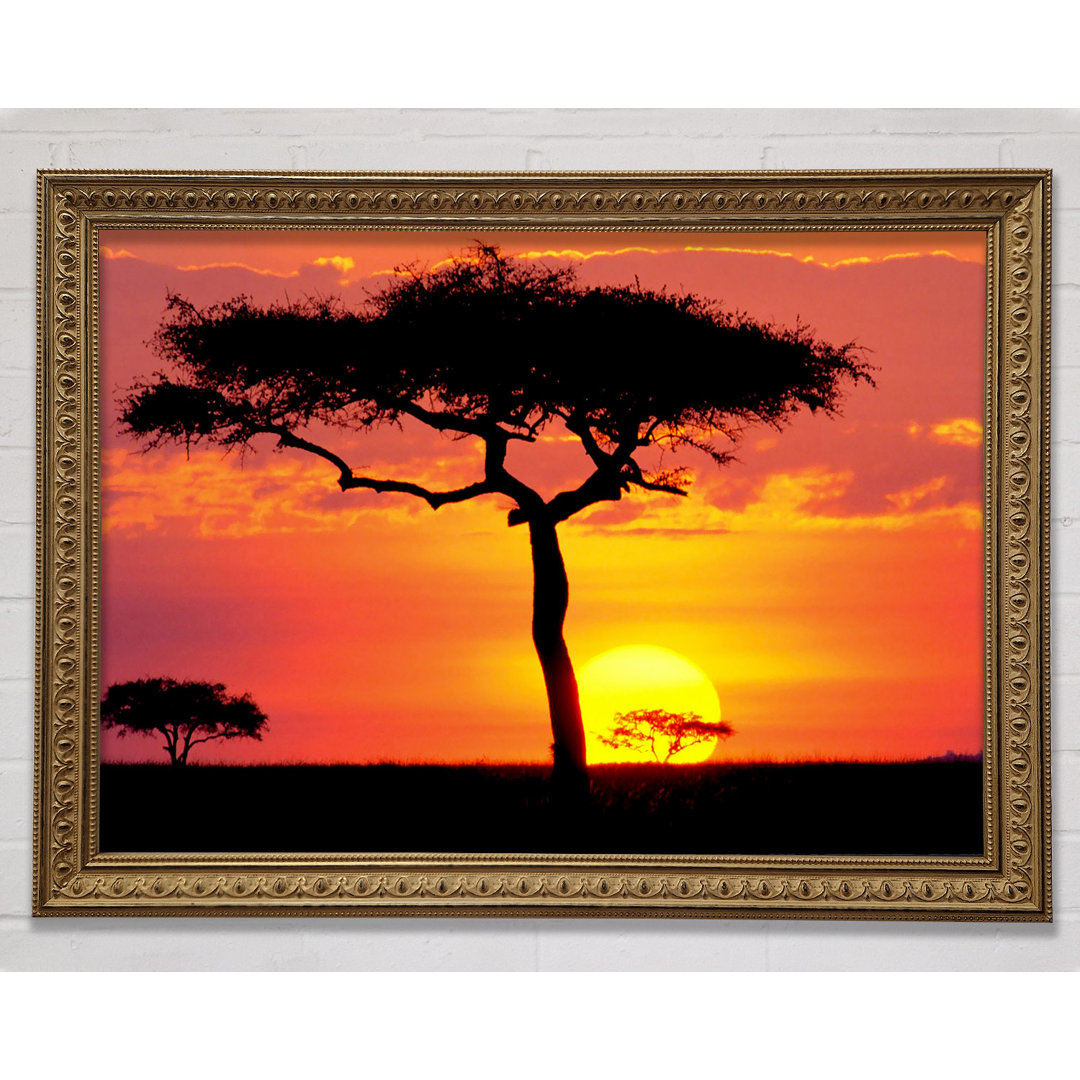 Sonnenuntergang in Kenia - Drucken