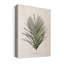 " Palm Botanical I "-740593842