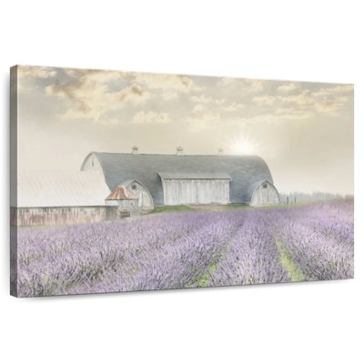 Alvord Lavender Morning