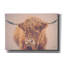 «Highland In The Winter Fog» par Nathan Larson, art mural sur toile-631994196