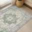 Tapis oriental performance Roehit-1848268764-1865515418