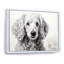 Caniche Pizazz sur toile-214097675-214097674