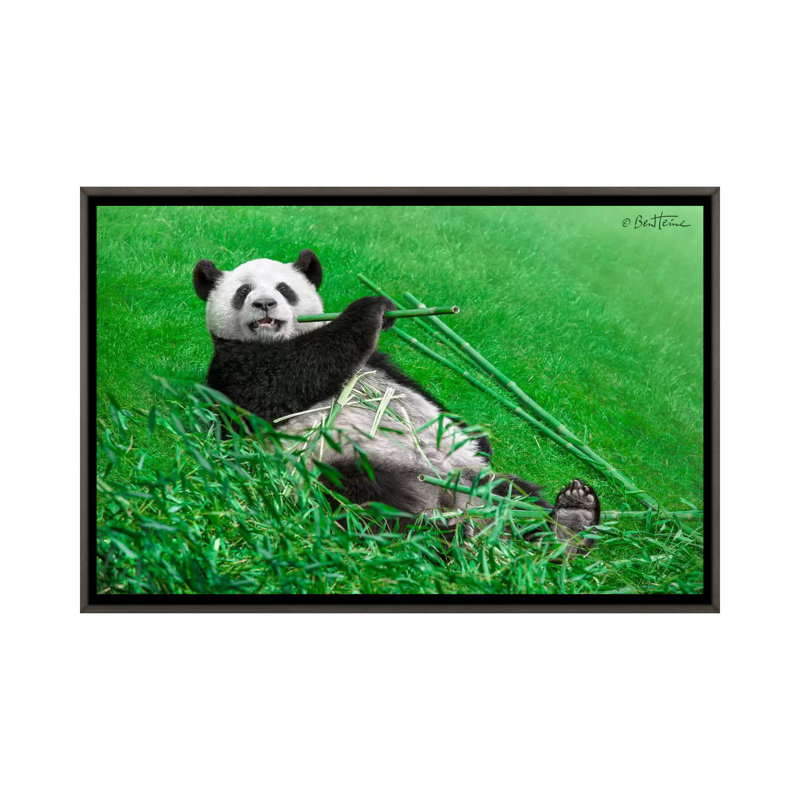 « Funny Panda » par Ben Heine-reproduction de photo, Pas de tapis, H 18 po x l 26 po x P 1,5 po