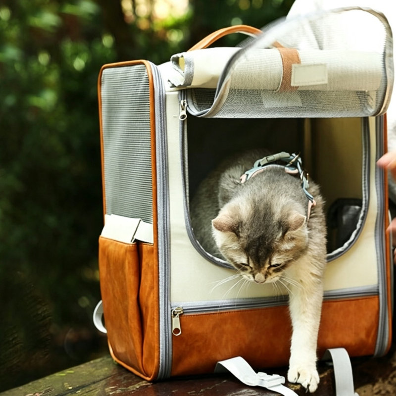 Sac à dos de transport pour animaux de compagnie personnalisable et respirant, sac de voyage à double usage à main et réglable pour l'épaule, grand sac à dos pour chien et chat avec poches latérales