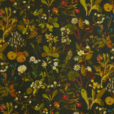 Herbarium 9.84' L x 70.87" W Wallpaper Roll