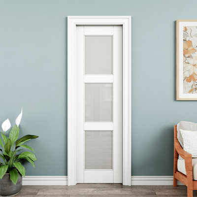Porte de poche intérieure en verre givré 3-Lite 24 po x 80 po, plaque de porte en verre trempé avec intimité, pouvant être peinte et imperméable, comme portes de buanderie, portes de placard, portes de pièce