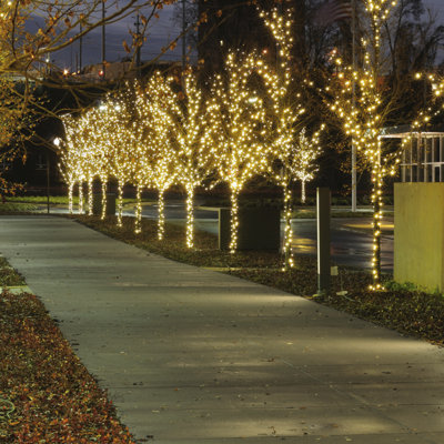 Electric Mini String Lights with 100 Bulbs