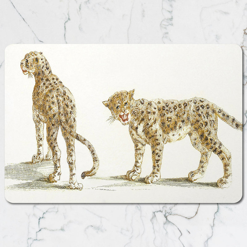 Leopard Print Placemat And Coaster Set For Dining Table Decor