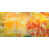 Wrapped Canvas selected