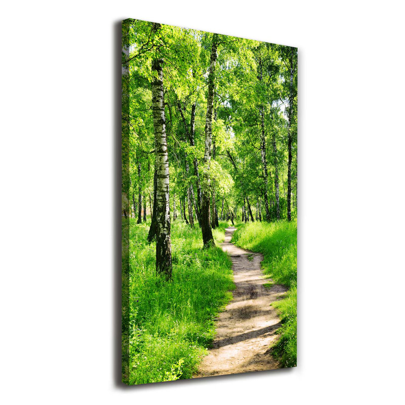 Birch Forest - Wrapped Canvas Print