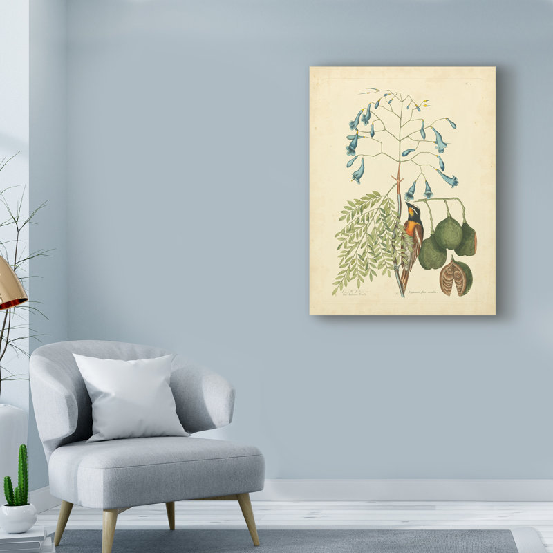 «Bird and Botanical II», reproduction d'impression sur toile tendue, H 19 po x l 14 po x P 2 po
