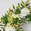 Couronne d'hortensia crème, verte, renoncule, baie, printemps, été, porte d'entrée-1291423534