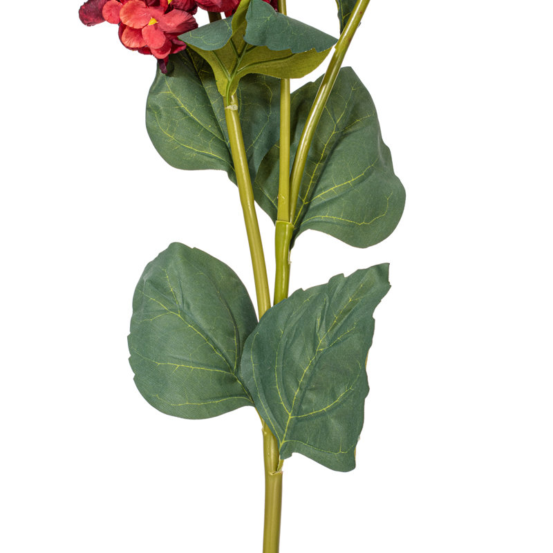 Ranbir Hydrangea Stem, Burgundy