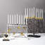Butterfly Ginkgo Menorah