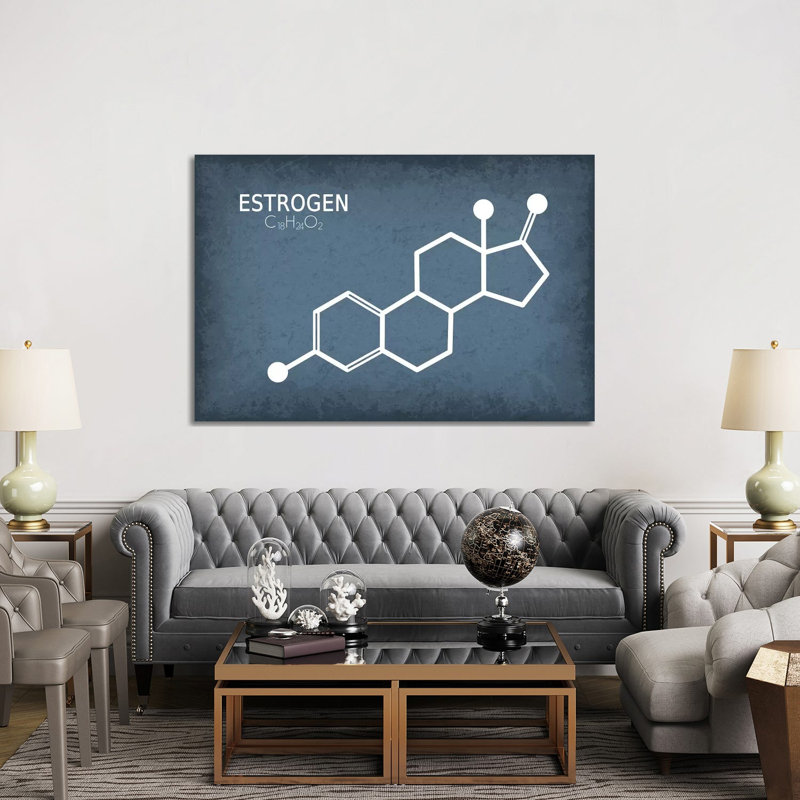 Estrogen Molecule - Wrapped Canvas Print, 152.5 cm H x 101.5 cm W