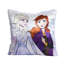 Jeté Disney La Reine des neiges