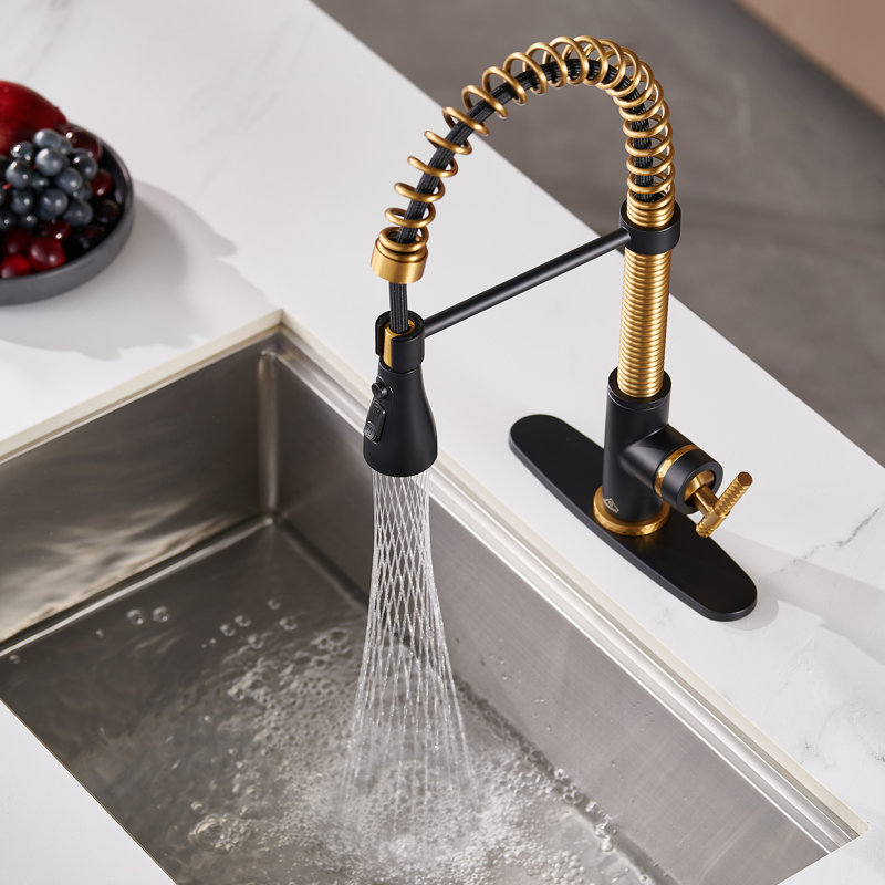 Bolden CASAINC 1.8 GPM Spring Neck Pull Down Kitchen Faucet with Deck Plate, Matte Black/Brushed Gold