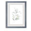 « ethereal eucalyptus ii »-impression du cadre sur verre-316484353-316484409