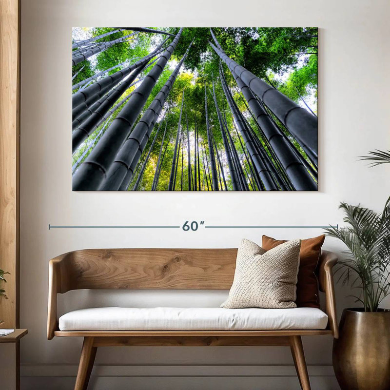 Bamboo Forest Sky Light