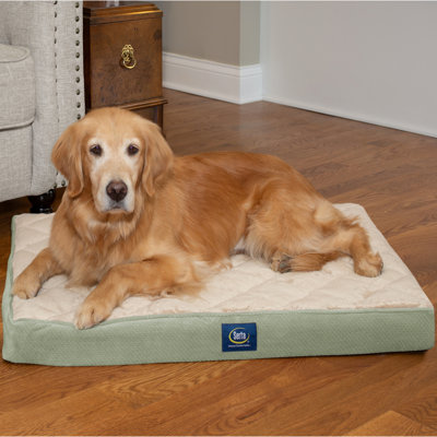 Serta Quilted Pillowtop Pet Bed