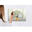 Magnetic Glass Dry Erase Board