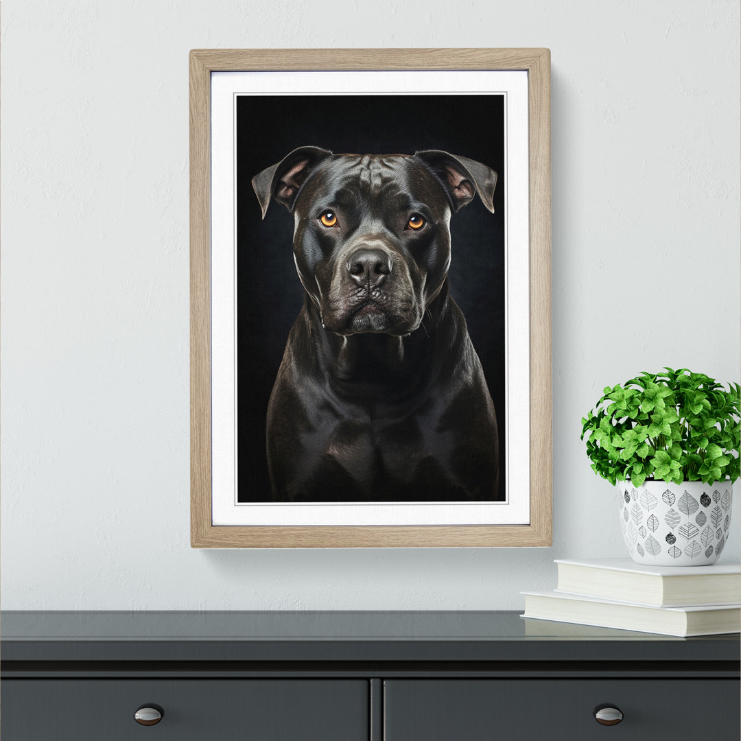 Staffordshire Bull Terrier Tachisme
