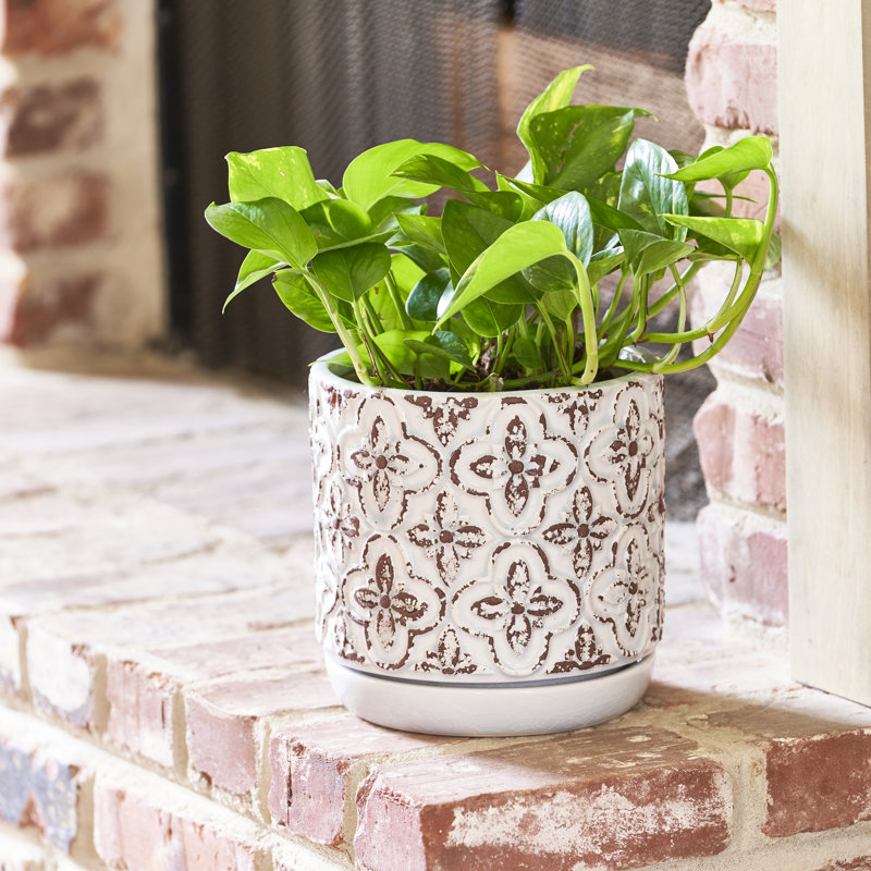 Jardinière rustique française 5,9 pouces