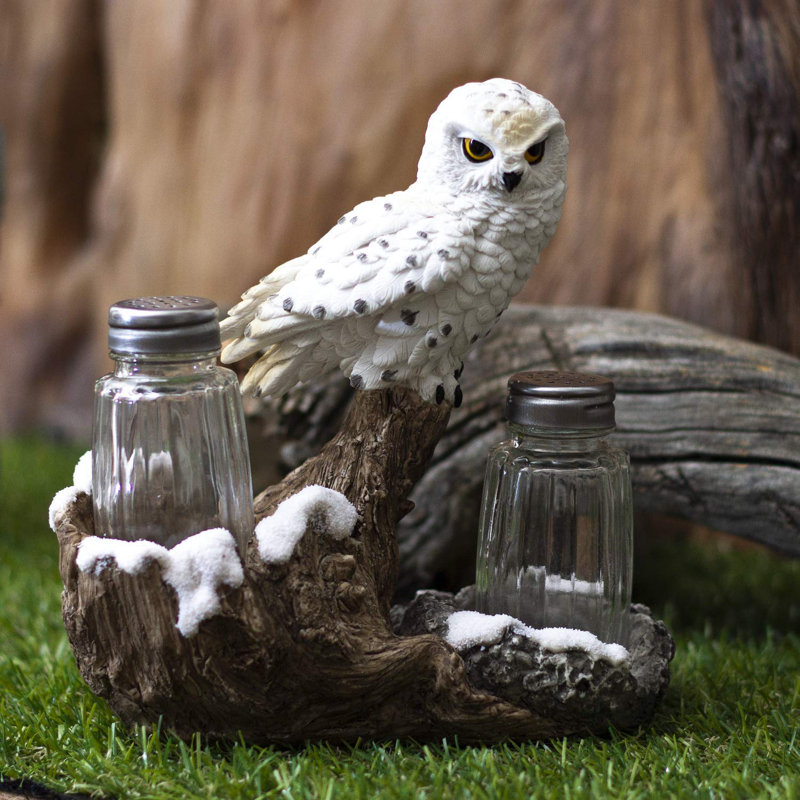 Ensemble d’agitateur à poivre et sel hibou pacific