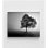 Nature, forêt, chalet, chambre à coucher, idée de décoration d'arbre foncé, impression de photo de bureau à domicile photo terre, épouse, studio de décoration