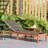 Rafael Outdoor Eucalyptus Wood Chaise Lounge-14751378