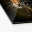 No Frame Print on Glass-16493499