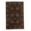 Wool Oriental Area Rug