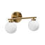 Iron Armed Sconce