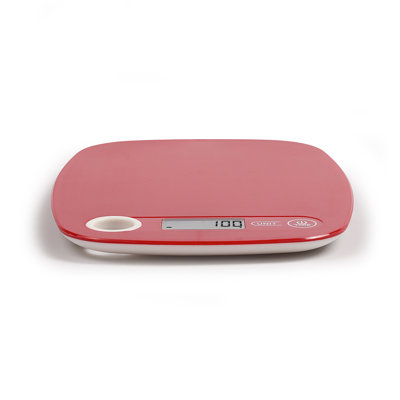 Belfry Kitchen Knapp Digital Scale